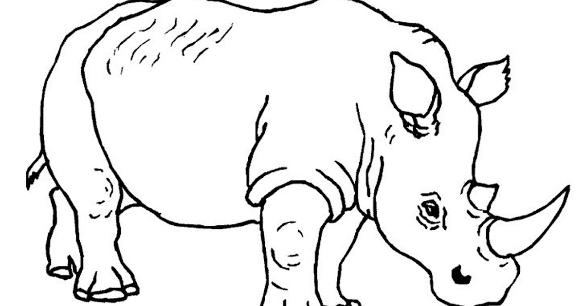 Gambar Mewarnai Hewan Langka – mosi